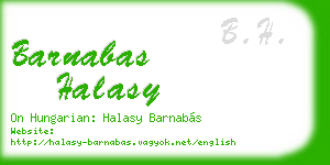 barnabas halasy business card