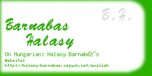 barnabas halasy business card